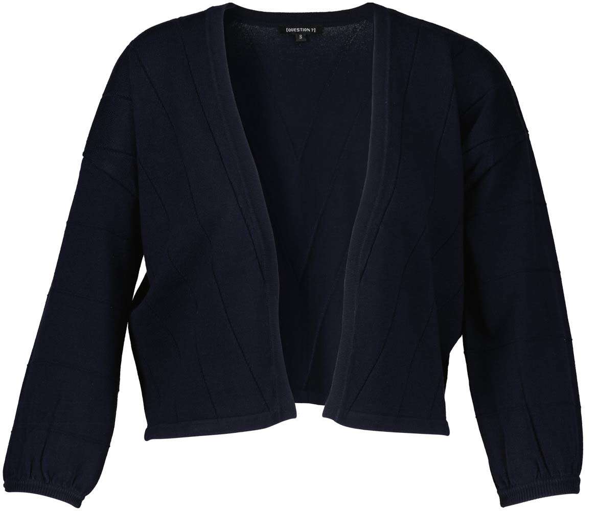 Question Cardigan Blauw