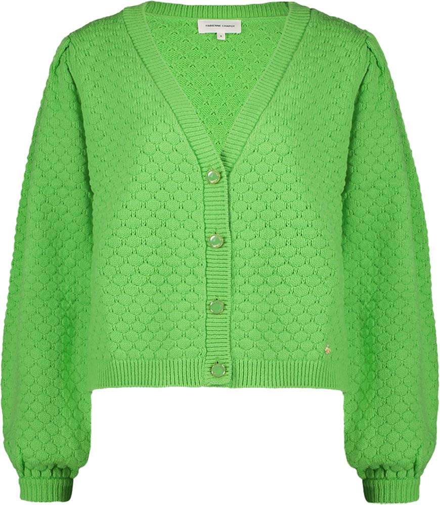 Fabienne Chapot Rosie Bubble Cardigan Groen
