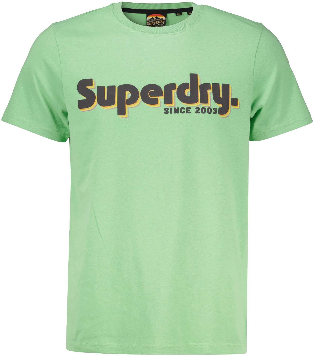 Superdry terrain logo classic t'shirt Groen