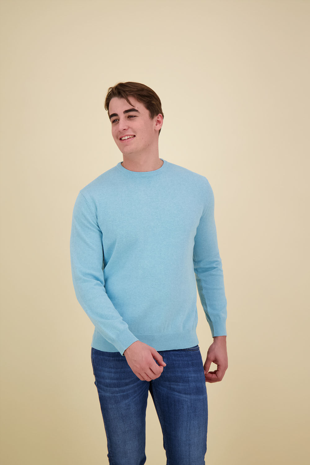 Bomont VW crewneck Blauw