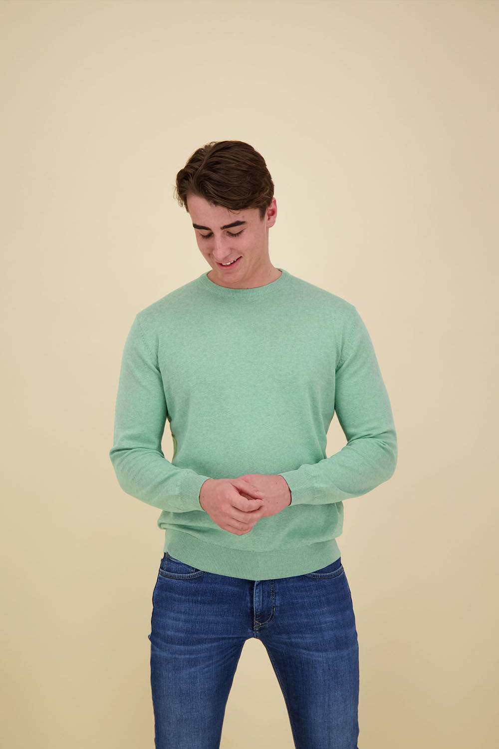 Bomont VW crewneck Groen