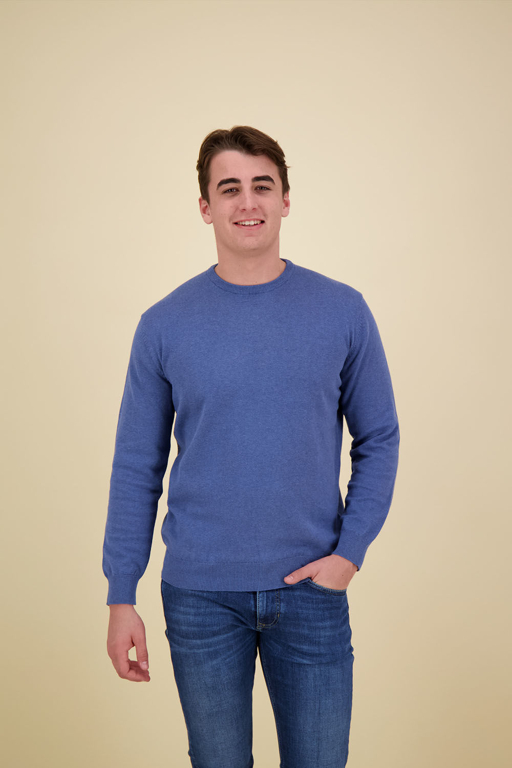 Bomont VW crewneck Blauw
