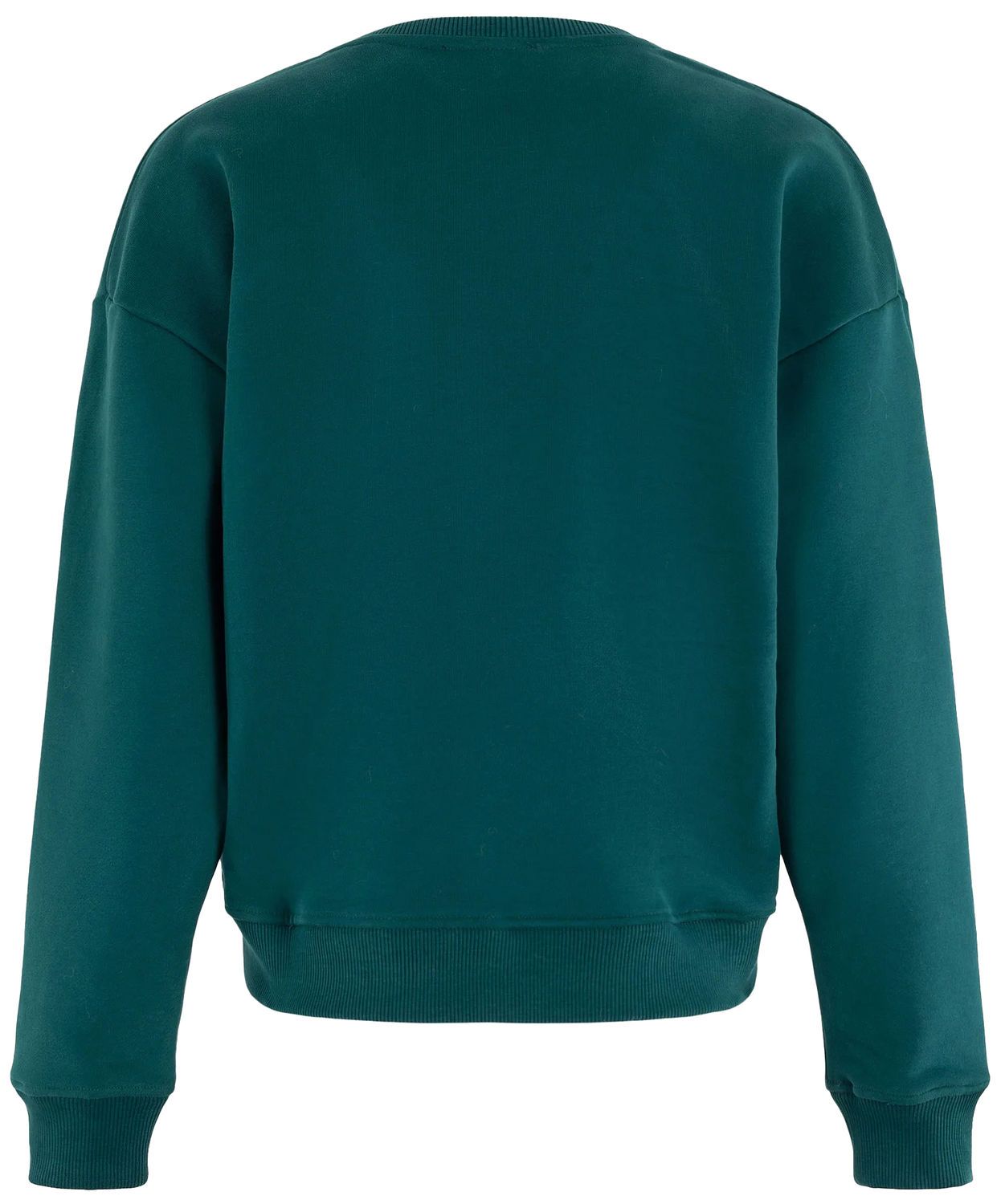 Sweater Blue Crew Groen