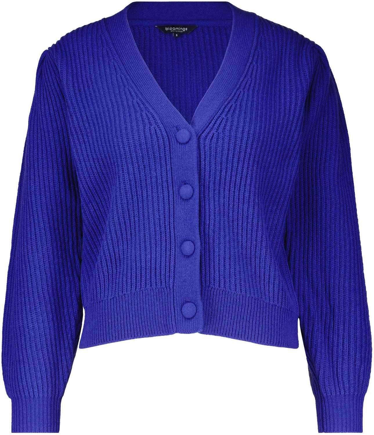 Vest Blauw