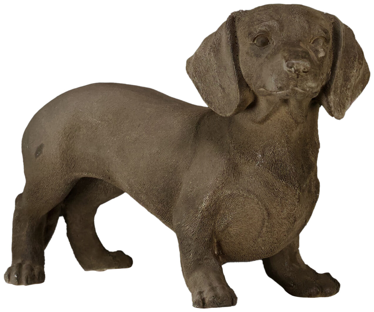 Bomont Collection Teckel bruin L50B18H31CM Bruin