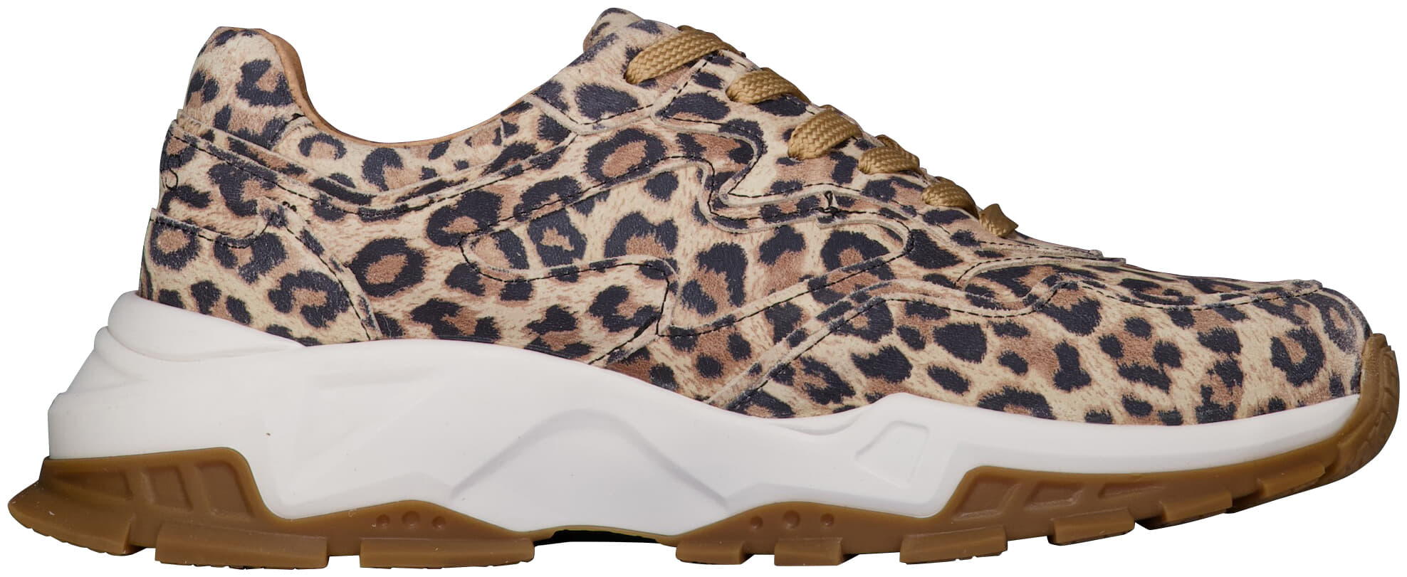 DWRS Chester leopard Bruin