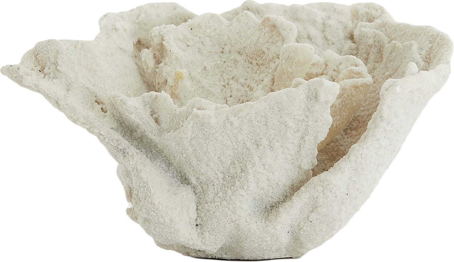 Bomont Collection Ornament Coral 23X16X13 Cm  Cream Wit