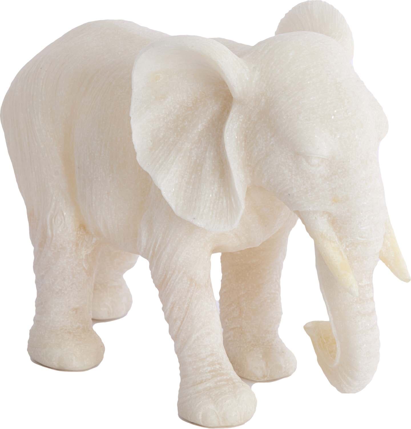 Bomont Collection Ornament Gajah 26X11X18 Cm  Beige Beige