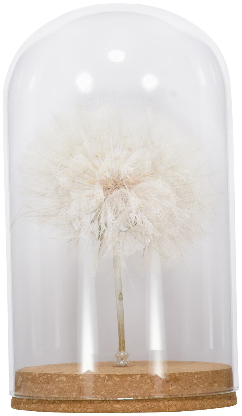 Bomont Collection Bell Jar Dandelion Gift H22D12 Wit
