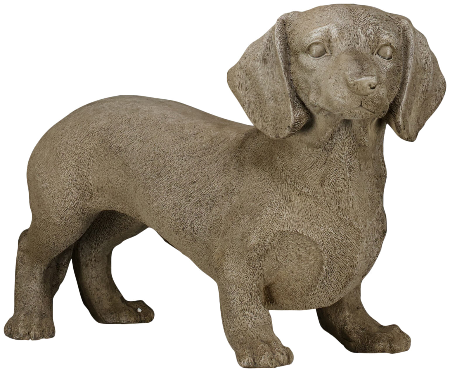 Bomont Collection Decoratie Teckel 50*18*31 Cm Bruin