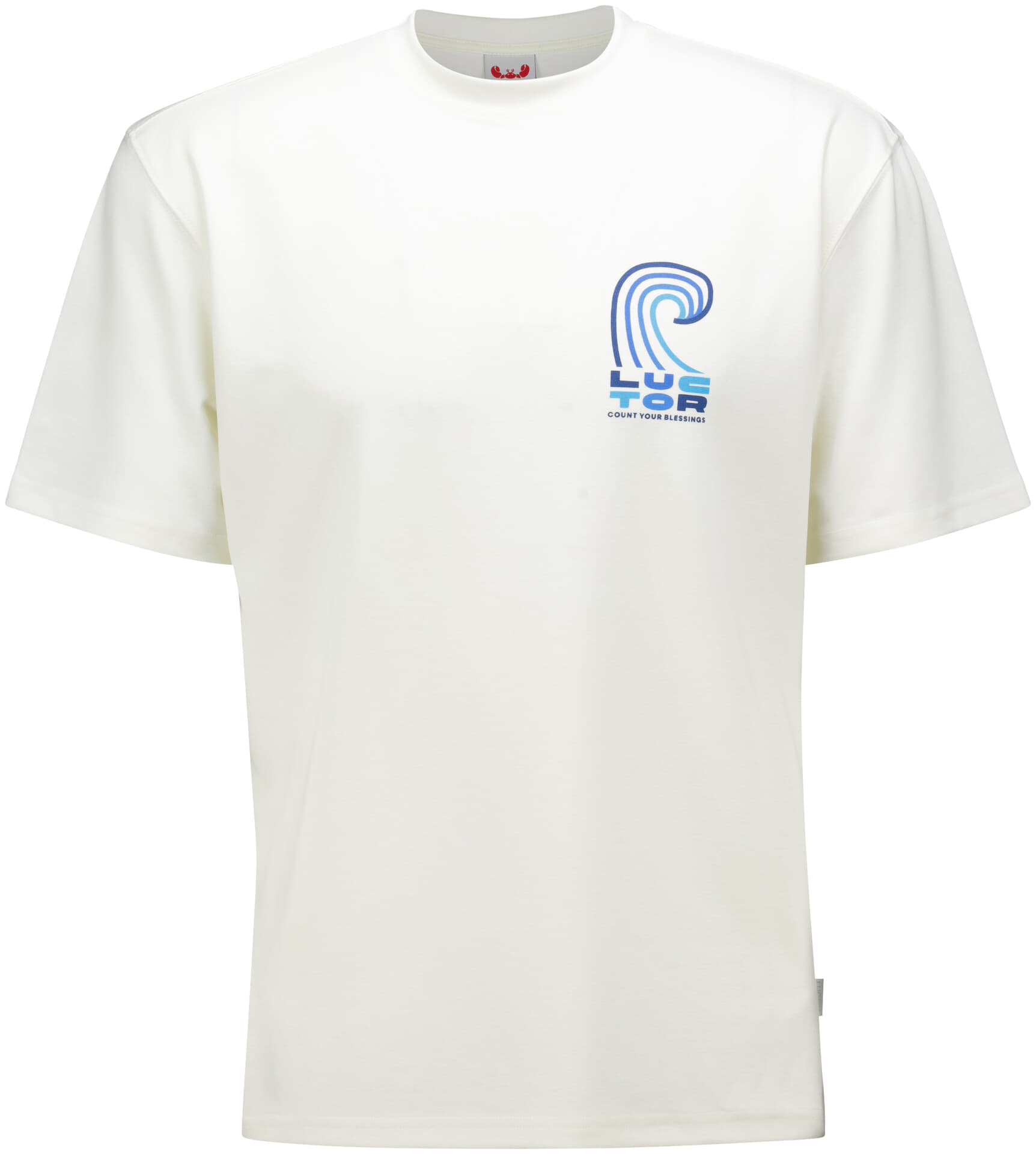 Luctor T-shirt Laurens Blessing Wit