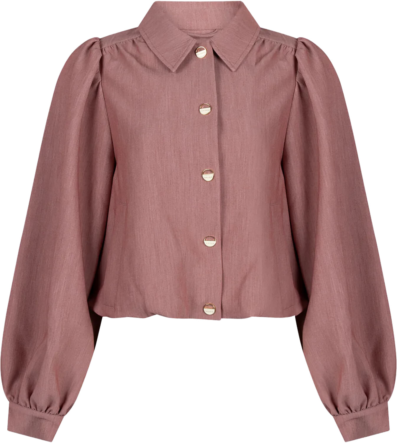 Aaiko Blazer SANDY Roze