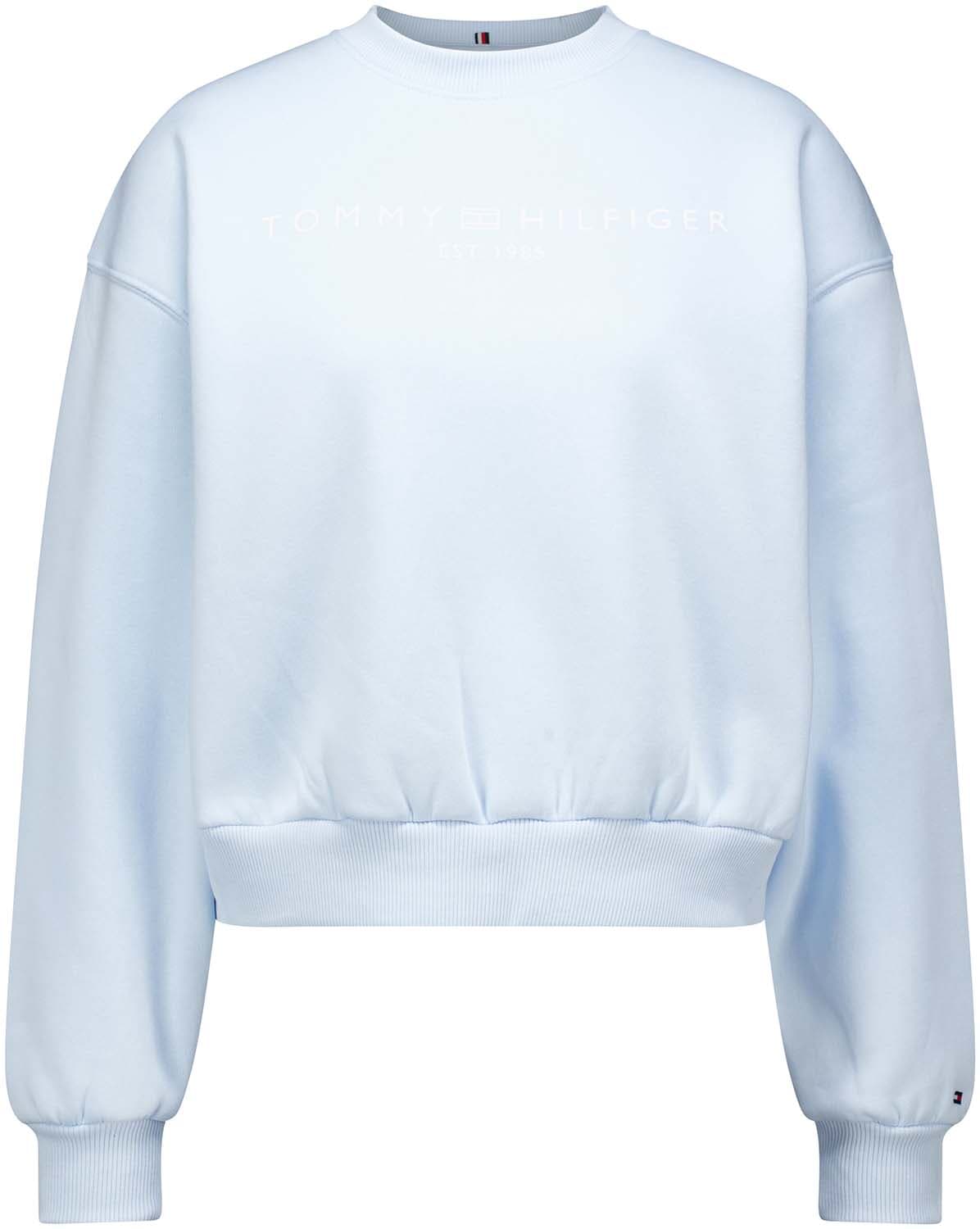 Tommy Hilfiger Sweater  logo Blauw