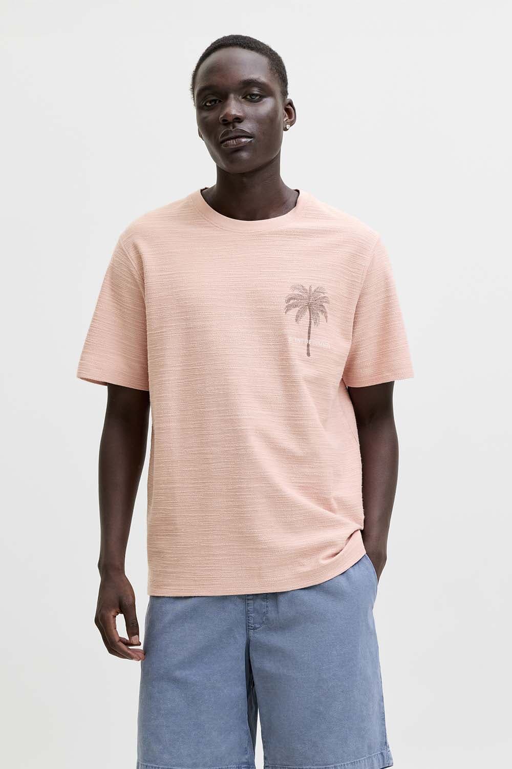 Jack & Jones T-shirt Emmett Roze