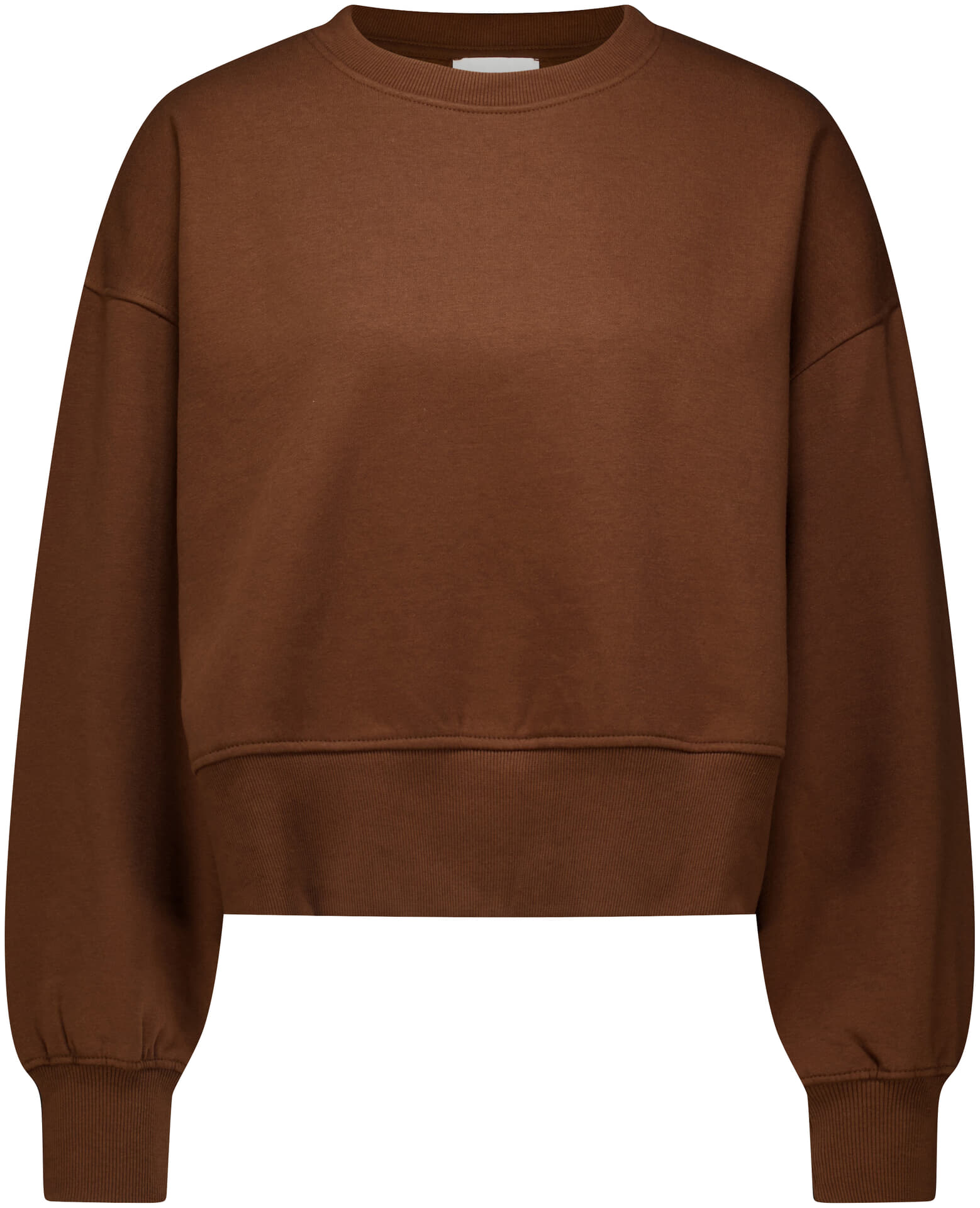 Sweater Hike Bruin