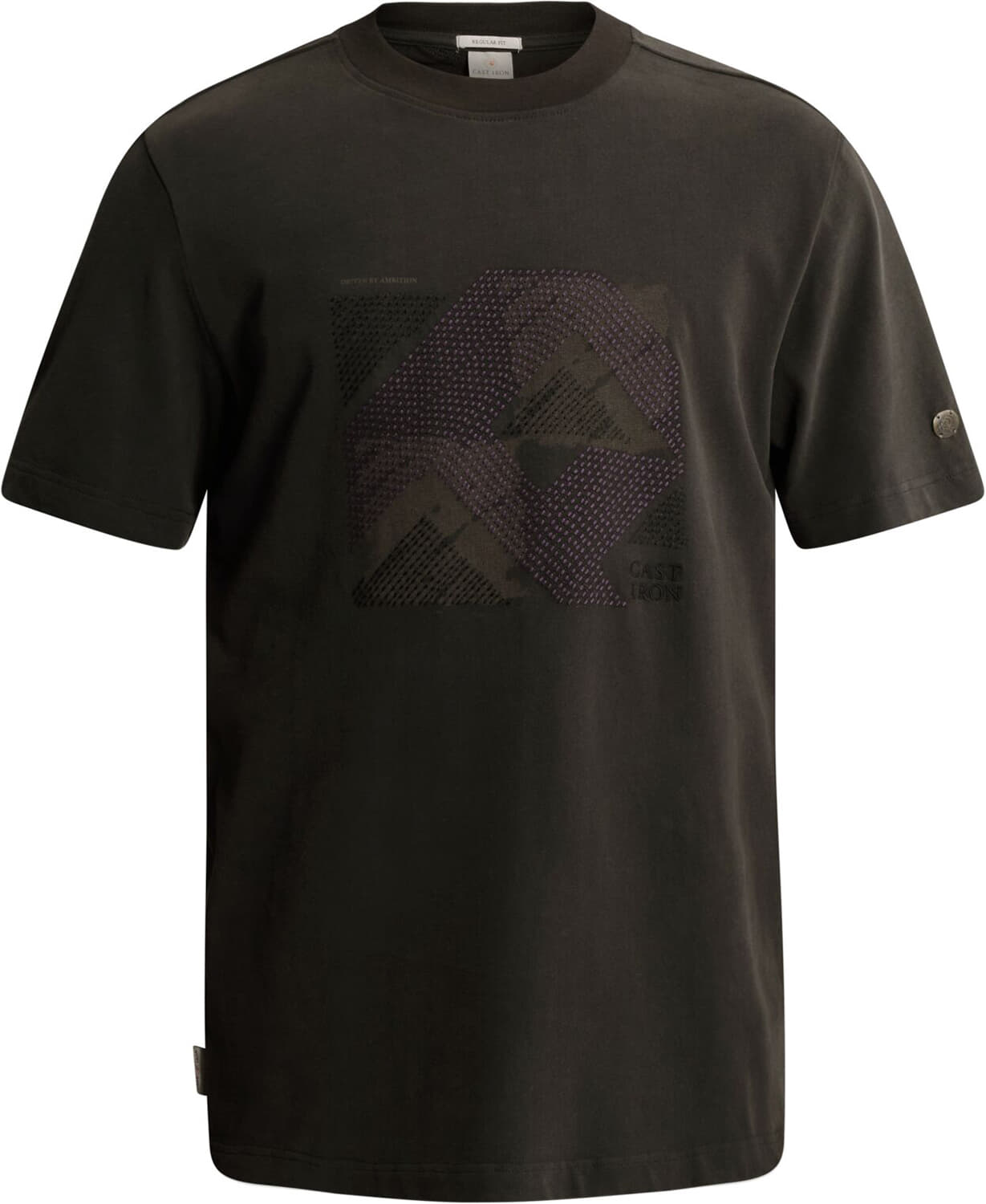 Cast Iron T-shirt regular fit  Grijs