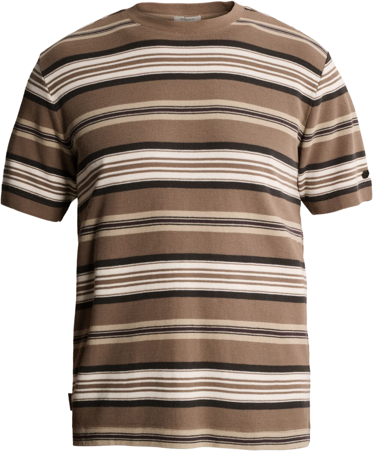 Cast Iron T-shirt regular fit  Bruin