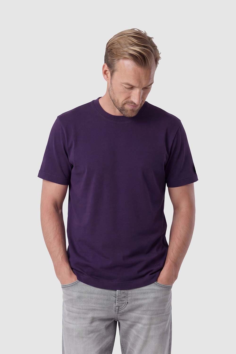 Cast Iron T-shirt Relaxed fit Grijs