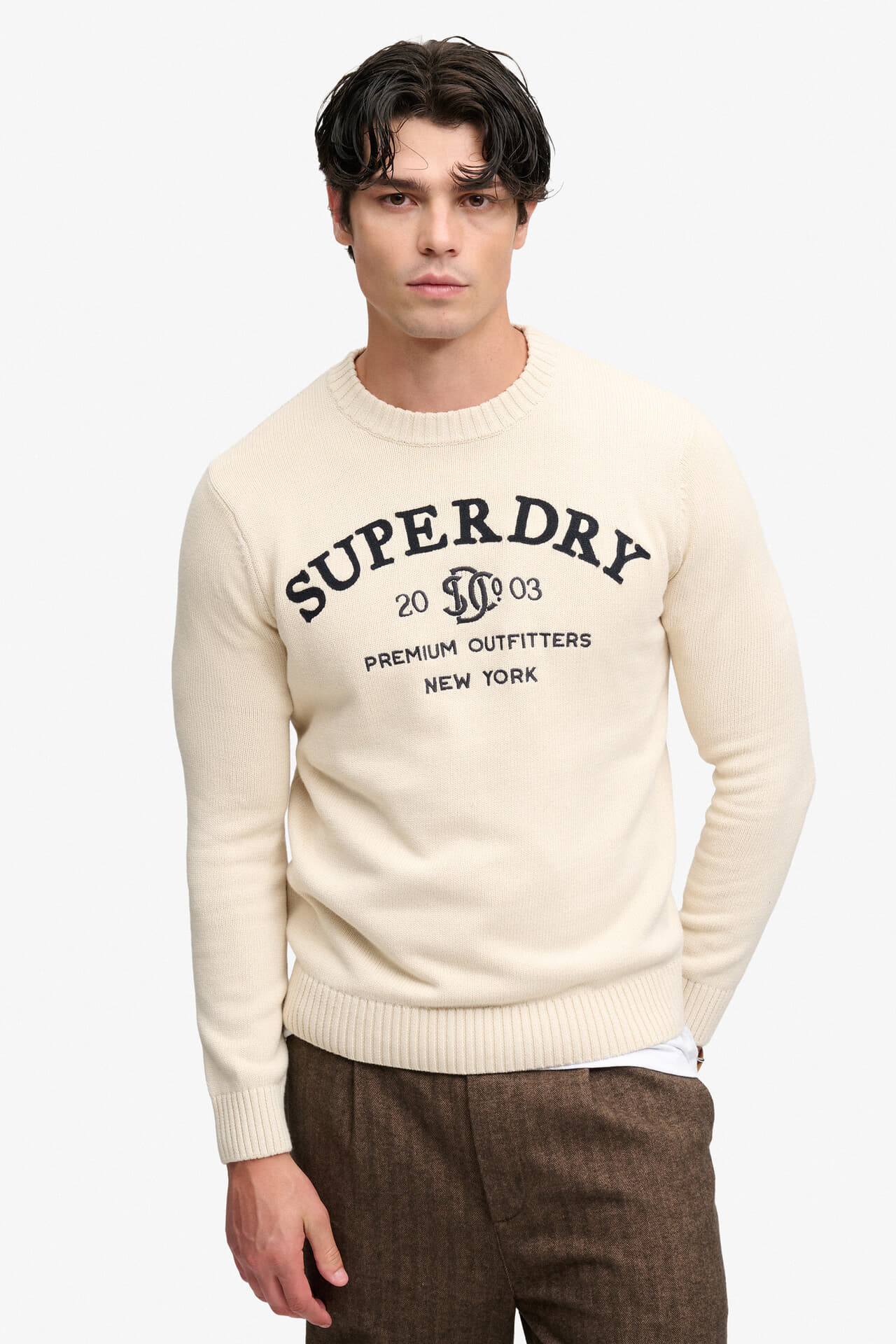 Superdry & Co Sweater Applique Graphic Beige