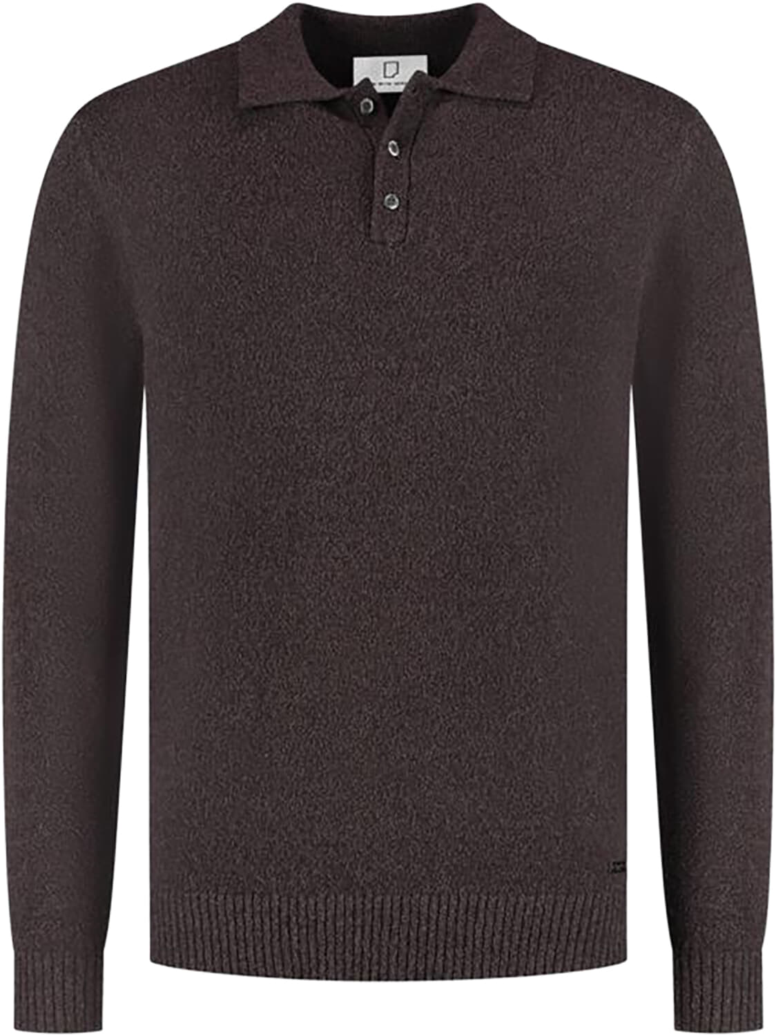 Born With Appetite Bryce Polo Pullover Bruin