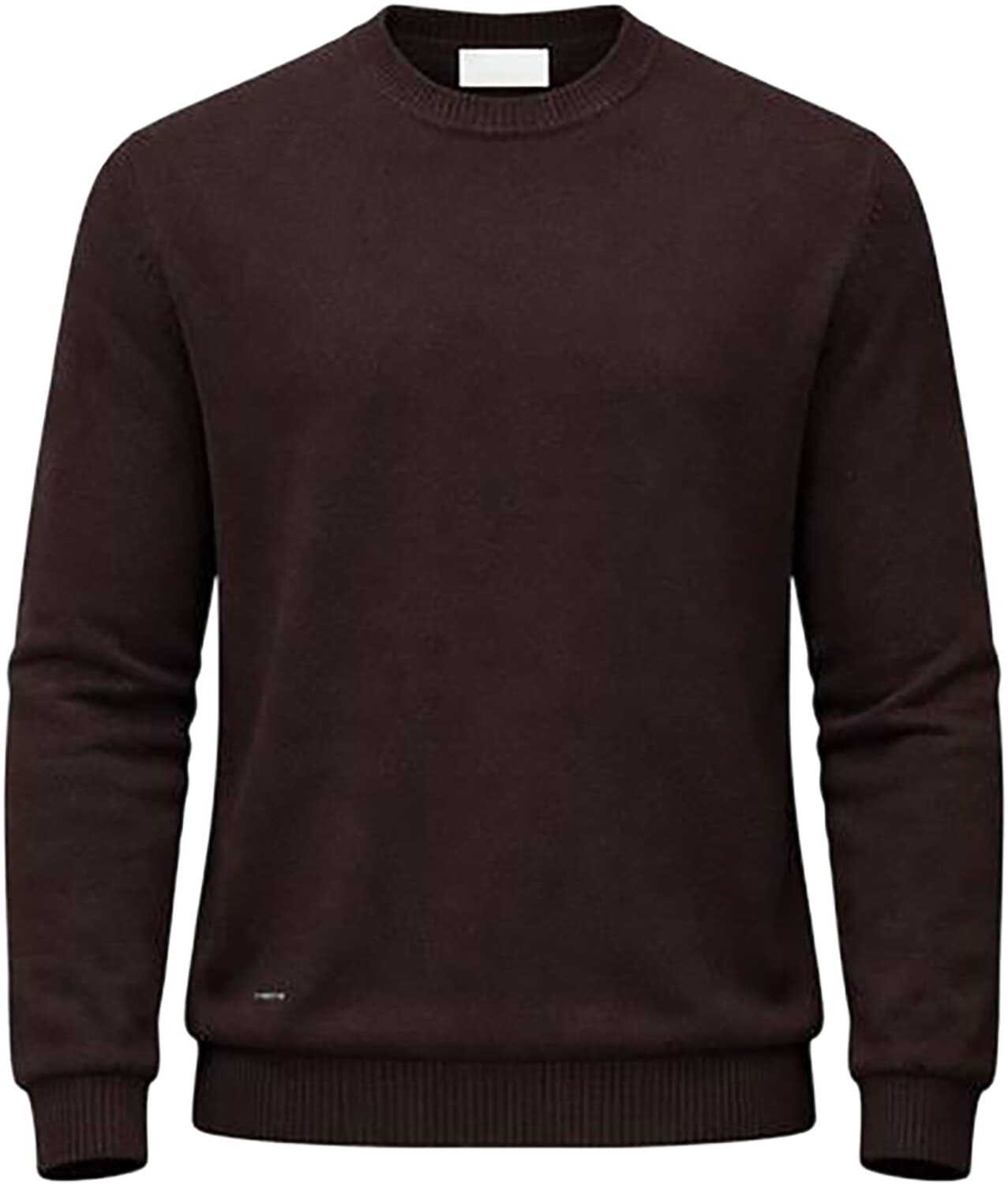 Born With Appetite Landon R-neck Pullover Structure Bruin
