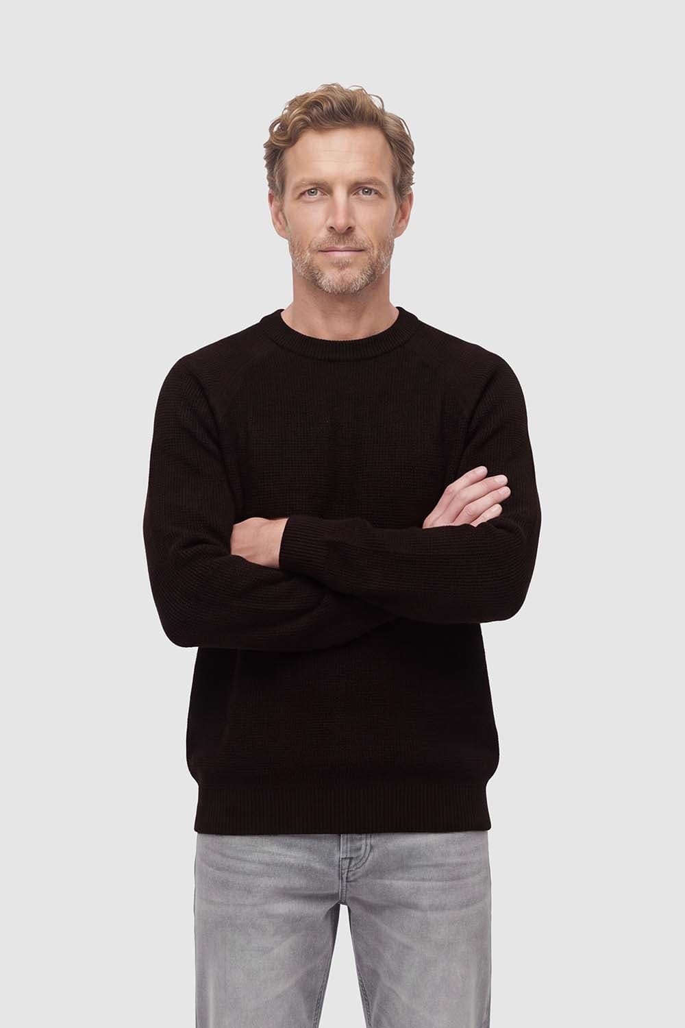 Born With Appetite Pullover Landon Structure Bruin