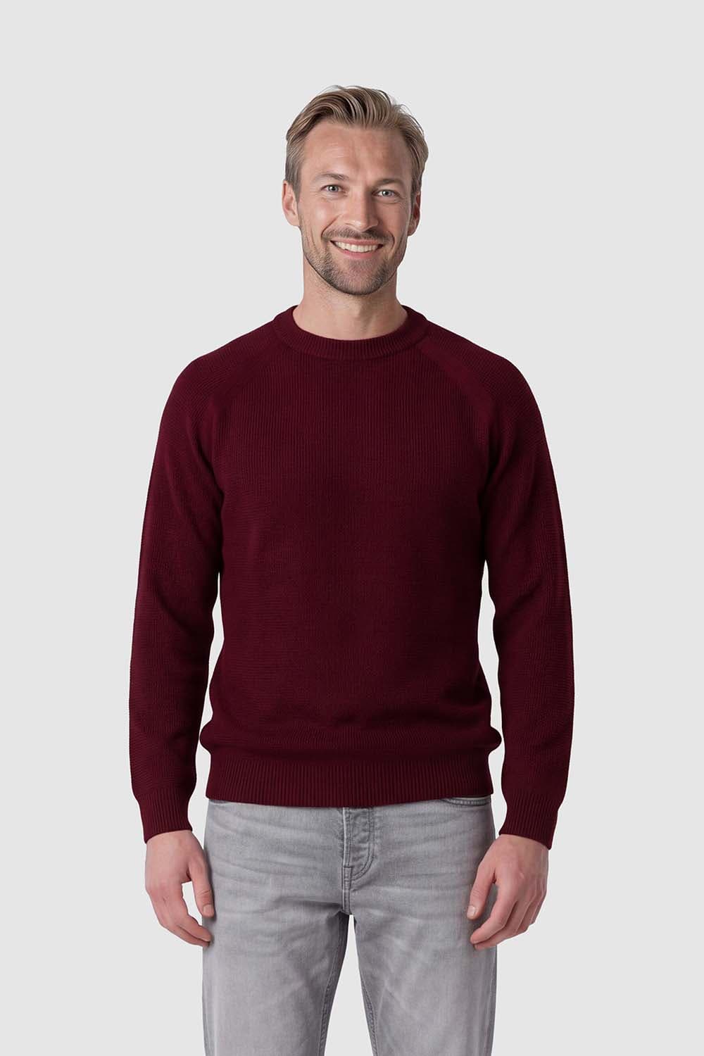Born With Appetite Pullover Landon Structure Rood