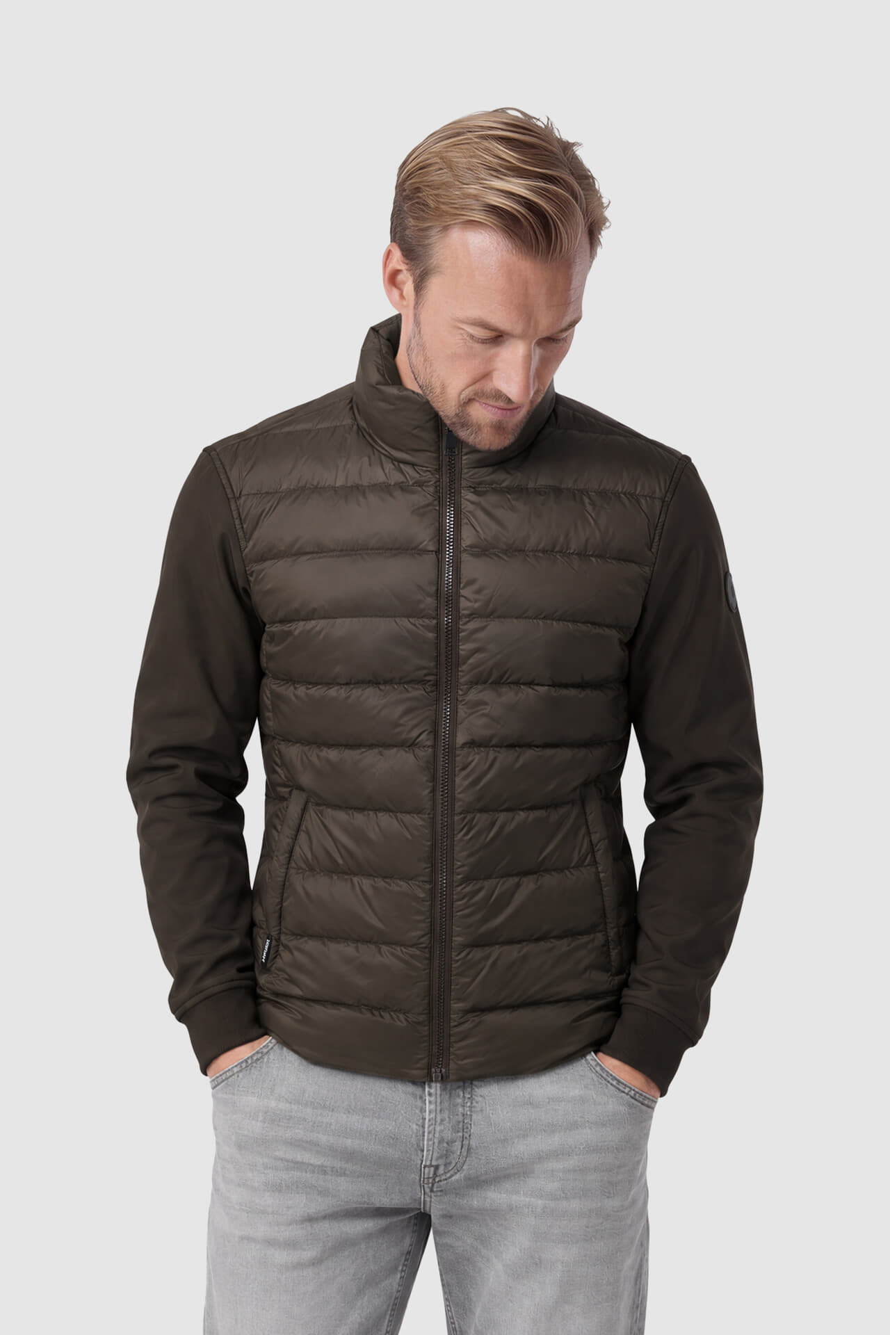 Airforce Jas Cove Bruin