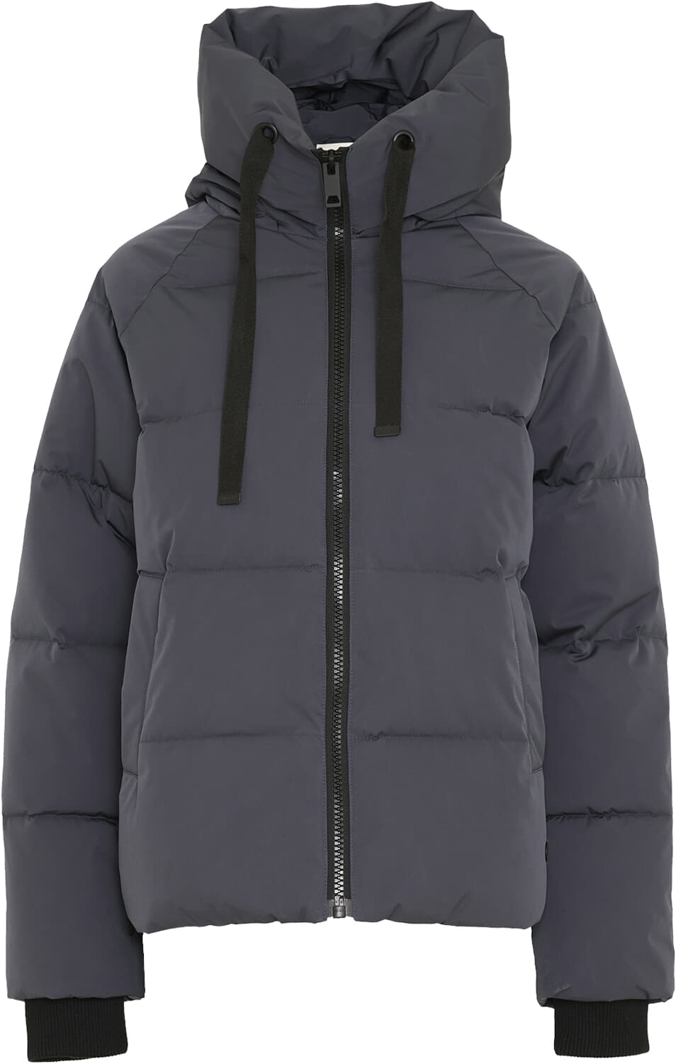 Jas Pavinaria  Navy