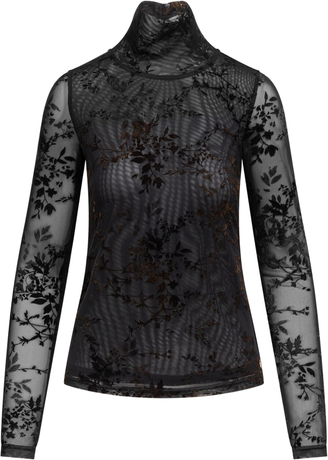 Label Dot Top Marie Bruin