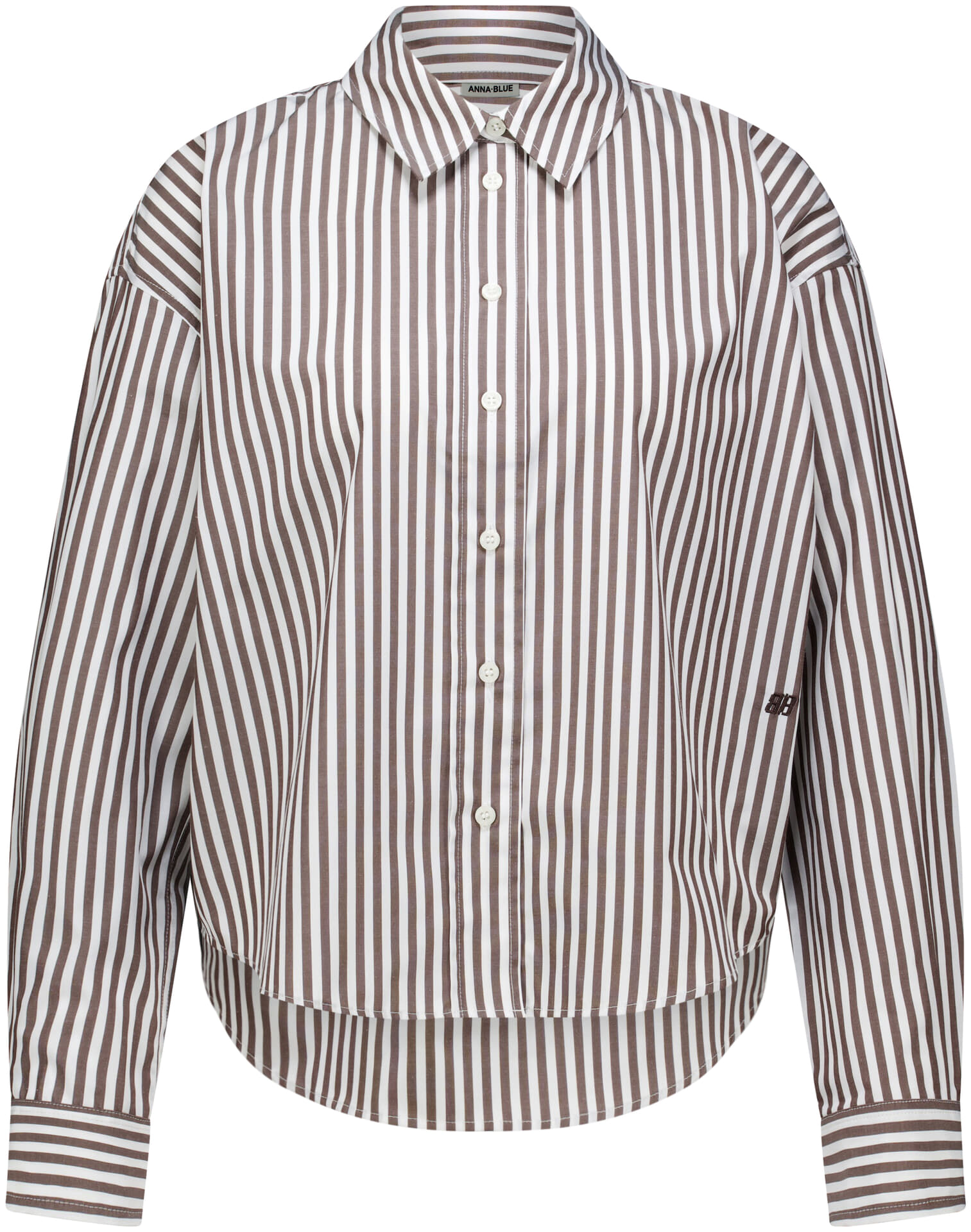 Anna Blue Blouse Sam Bruin