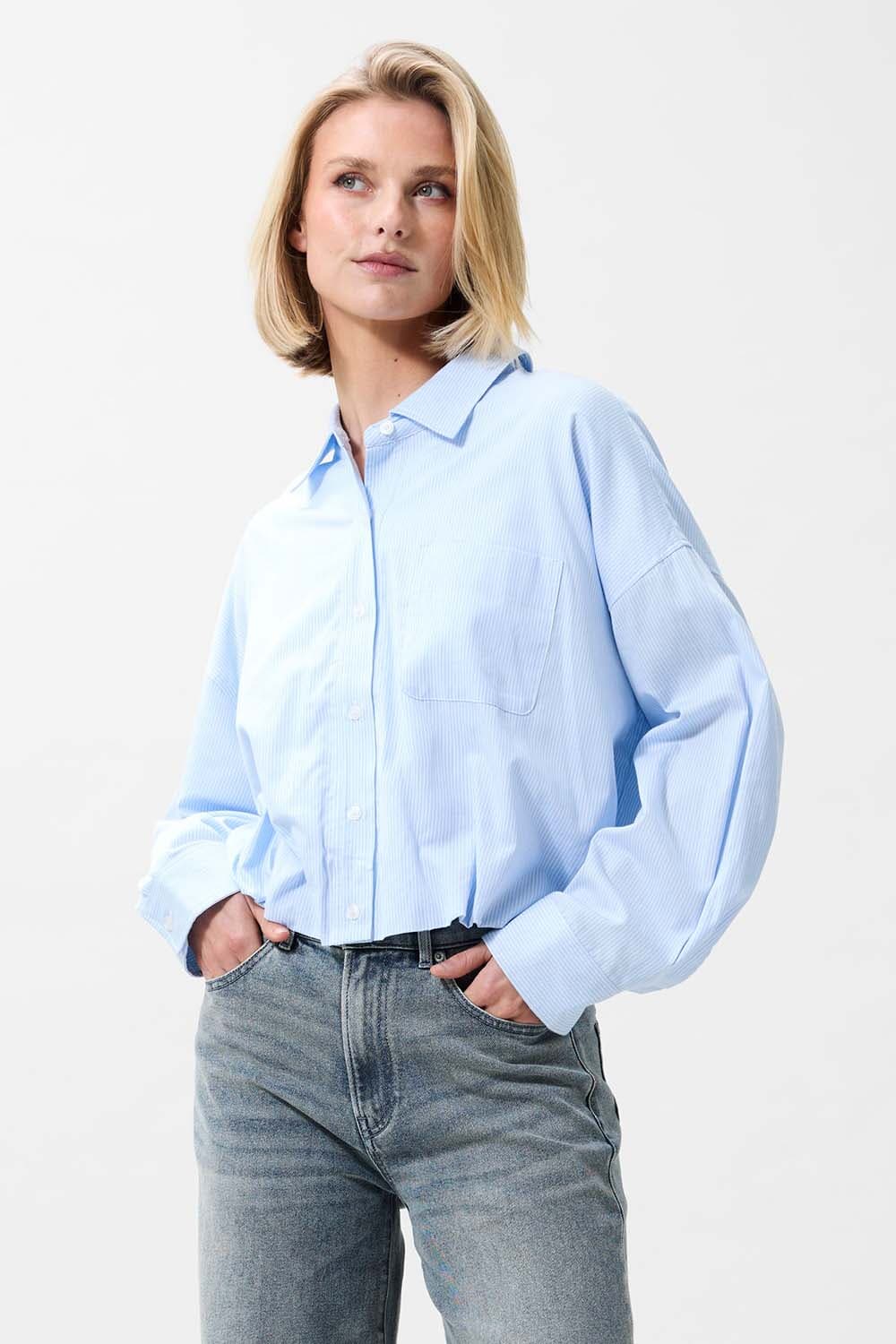 Catwalk Junkie Blouse Tuck in Blauw
