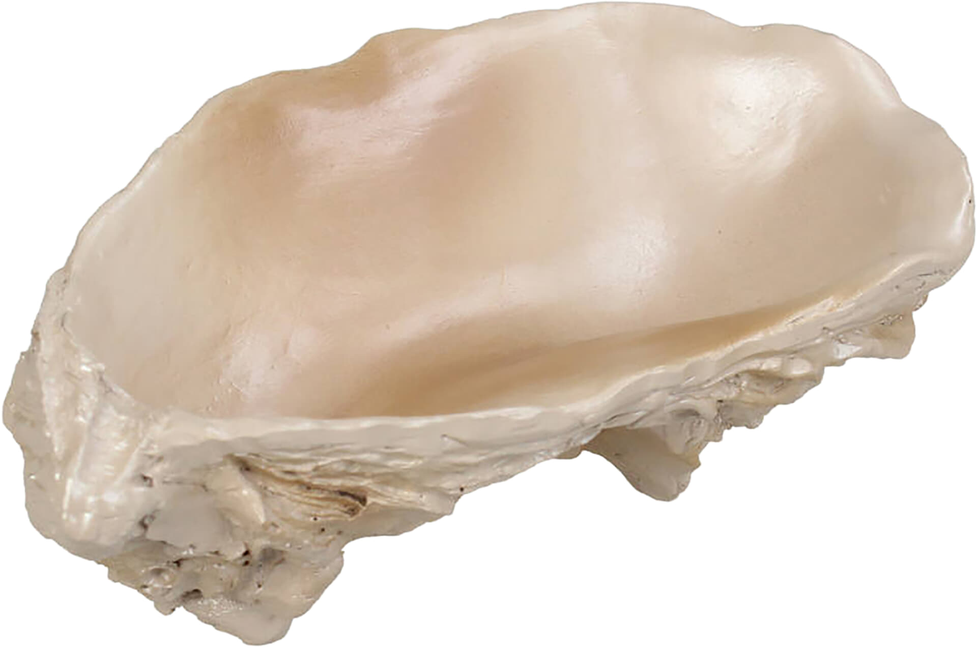 Bomont Collection Ornament Oyster Polyresin Silver 14x8x5cm Zilver