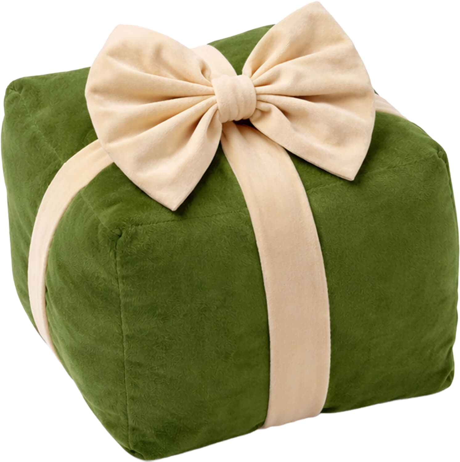 Dutch Decor Kussen Cuddle Giftbox 20 x 20 x 18 cm  Groen
