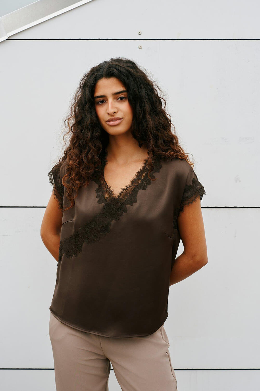 Neo Noir Benera Heavy Saheen Lace Blouse Bruin