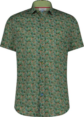 A Fish Named Fred shirt ss cactus Groen