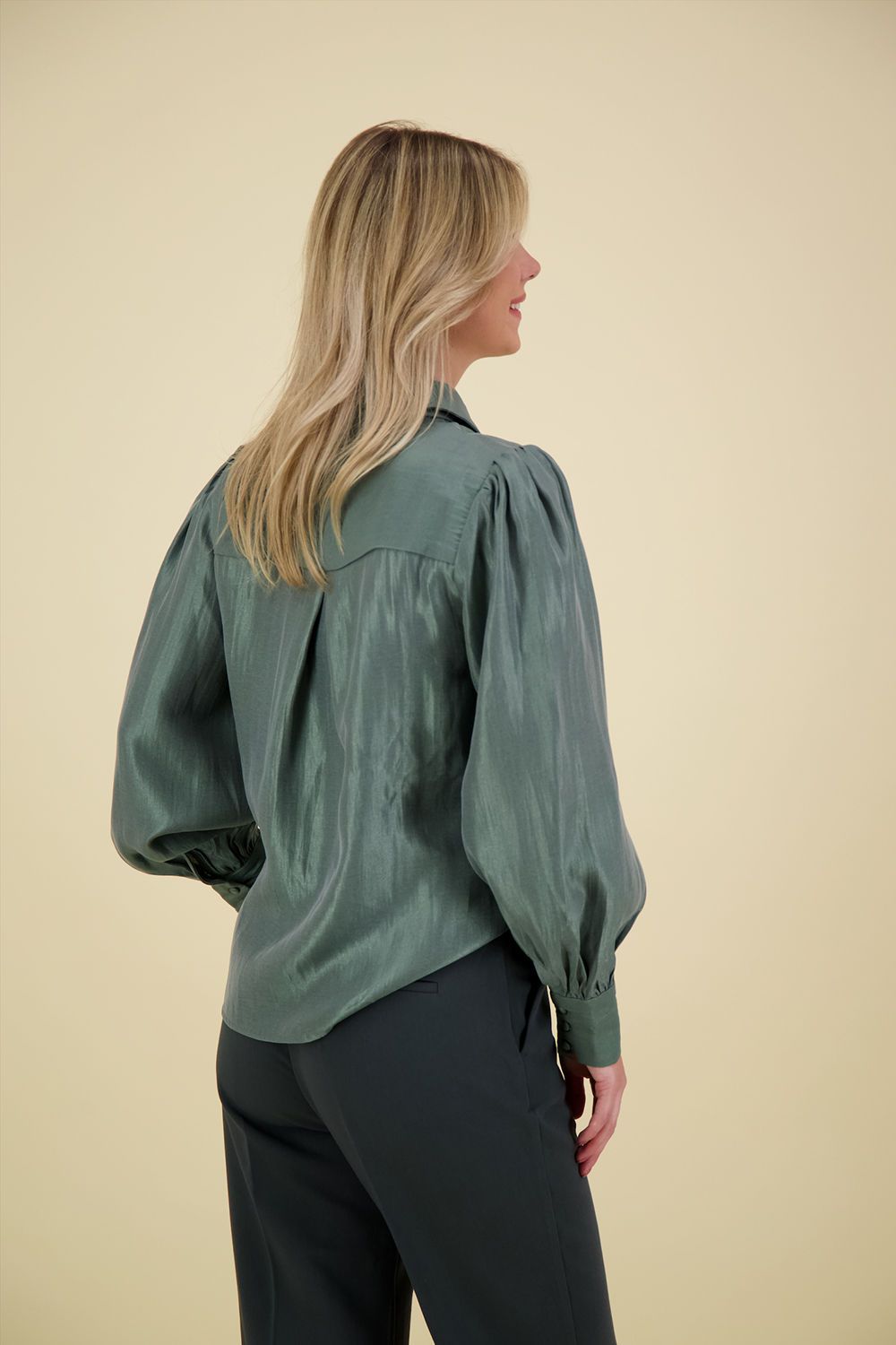 Aaiko Blouse Veronne Shimm Ray Groen