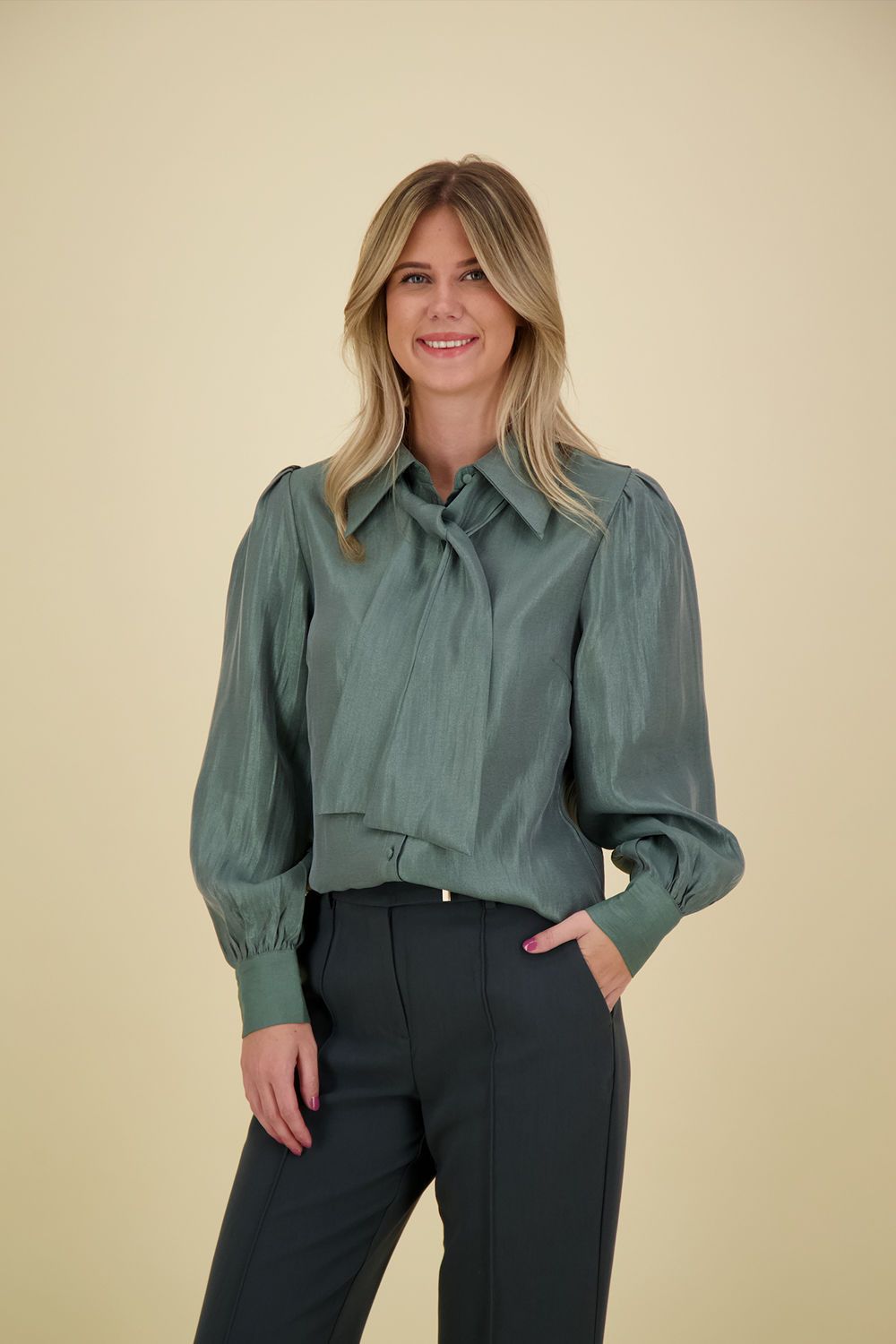 Aaiko Blouse Veronne Shimm Ray Groen