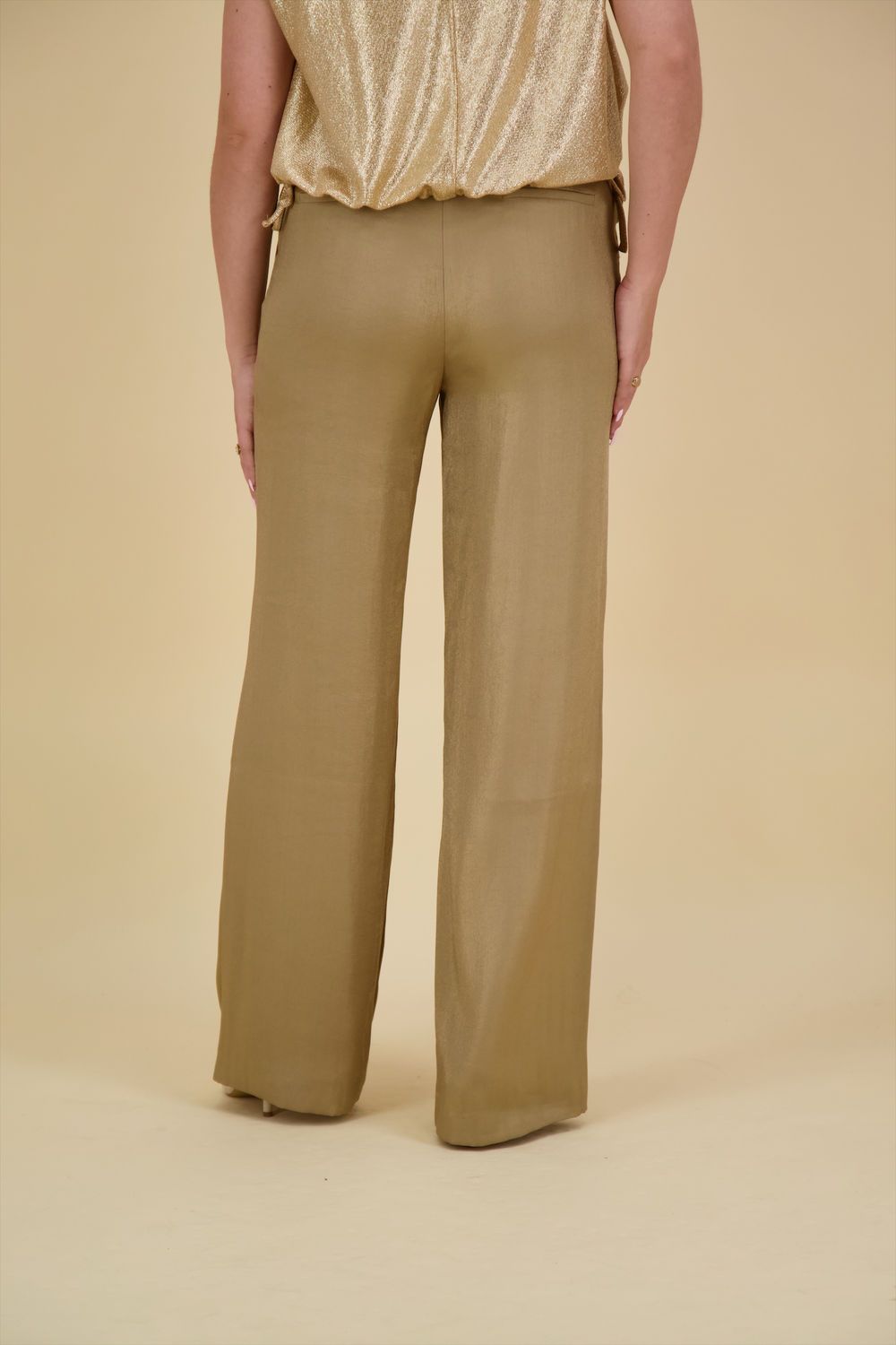 Aaiko Pantalon Searle Shimmery Groen