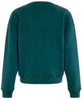 Sweater Blue Crew Groen