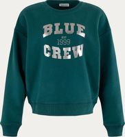 Sweater Blue Crew Groen