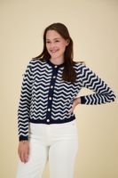 Vest Tweety zig zag Blauw