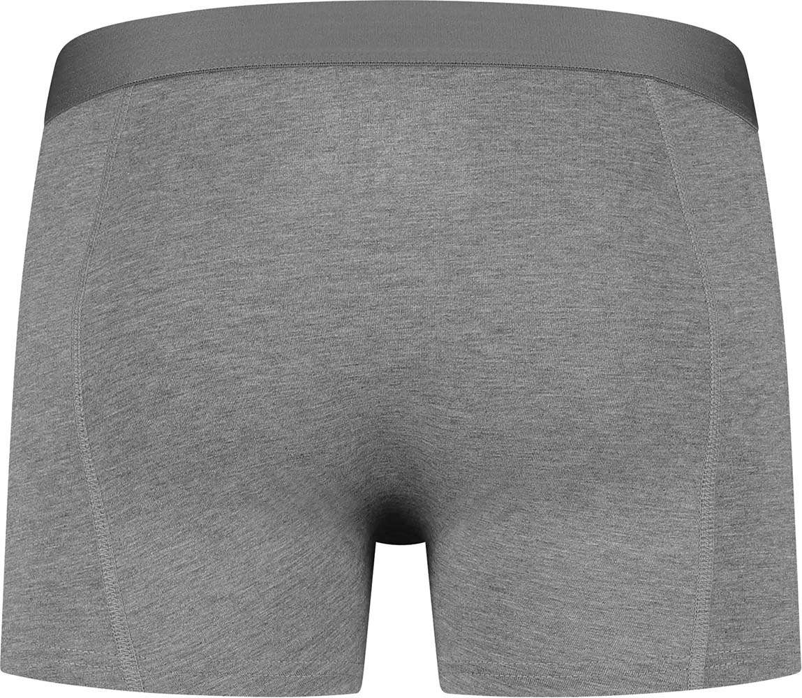 Slater Boxershorts 2-pack Bamboo Grijs Slater Boxershorts 2-pack Bamboo Grijs