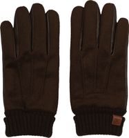 gloves Bruin