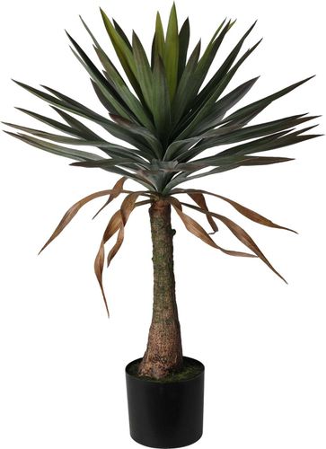 Bomont Collection Yucca plant 90cm Groen