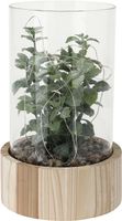 Plant in glazen pot met led 14x23cm 2ass Wit