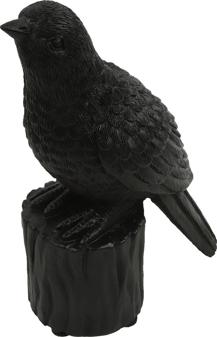 Vogel m/geluid Karolus XS zwart Zwart