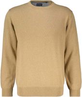 VW R-neck pullover Bruin