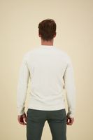 Long sleeve r-neck regular fit pop Grijs