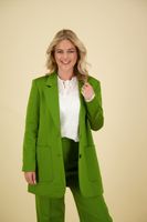 Blazer Shine Groen